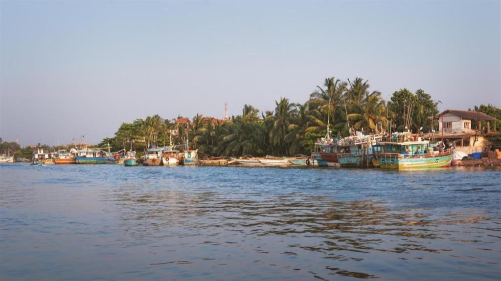 Araliya Blue Beach View Hotel Kudapaduwa Экстерьер фото
